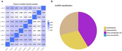 Differential Expression Profiles of lncRNA Following LPS-Induced Inflammation in Bovine Mammary Epithelial Cells